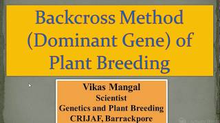 Backcross Method for Dominant Gene Transfer  Vikas Mangal Scientist ICAR  CRIJAF [upl. by Aiza]