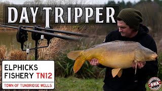 DAYSESSION CARPING  DAY TRIPPER  CARP FISHING  DNA BAITS  ELPHICKS FISHERY  OLLY SANDERS [upl. by Pinto122]