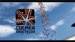 Culmea Fructelor  povestea noastra [upl. by Aicatsanna]