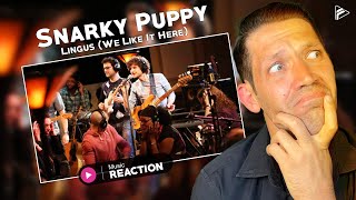 Snarky Puppy  Lingus We Like It Here Reaction [upl. by Nasah96]