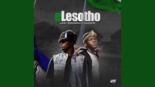 eLesotho [upl. by Lole6]