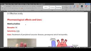 ANS Parasympathomimetic drugs [upl. by Penthea]