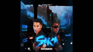 StokieNChilli – Saka Nkwari official audio officialstokienchilli [upl. by Silirama]