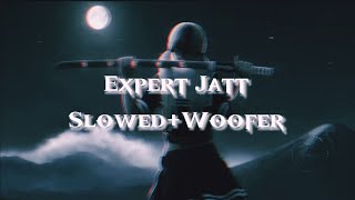 Expert Jatt II SlowedReverb II Bass Boosted Punjabi Song [upl. by Olnee]