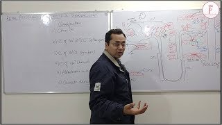 Diuretics Part2  Mechanism of action of diuretics loop thiazide k sparing diuretics detail [upl. by Gustavus485]