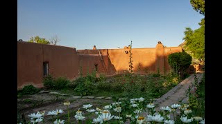 Breakfast with O’Keeffe Online O’Keeffe’s Abiquiu Garden [upl. by Ytirahs860]