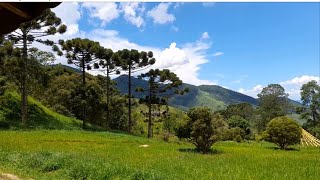 CHÁCARA À VENDA MUITA NATUREZA ENTRE LINDAS CACHOEIRAS GOMERAL GUARATINGUETÁ SP [upl. by Zilevi]