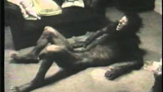 An American Werewolf in London  Making of the Werewolf  FX Rick Baker [upl. by Irb]