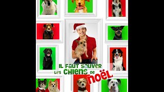 ❄️Il faut sauver les chiens de Noël❄️☃️🎄🎁🎅 [upl. by Noruq356]