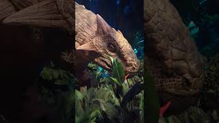 Come FaceToFace With Dinosaurs At Jurassic World The Exhibition [upl. by Pettiford]