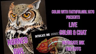 LIVE COLOR amp CHAT  Intricate Ink Tim Jeffs Book 1 [upl. by Rafi]