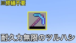 【マイクラ】サバイバルで入手できる耐久力∞のつるはしをご存知でしょうか？ ～普通自力では気づけない小ネタ・雑学11選～【マインクラフト】【まいくら】【裏技】【小ネタ】【統合版】 [upl. by Salhcin]