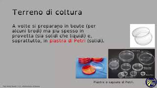 Introduzione ai terreni di coltura  Corso di microbiologia [upl. by Tamiko978]