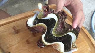 Okinawan Street Food Prepping and cooking giant clams [upl. by Gran]