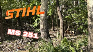 Fűzfa az erdőn a diófa társaságában🪓🌳 Vámosszabadi STIHL MS251 GOPRO HERO8 4K [upl. by Ayik]