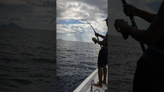 AmberJack fishing spearfishing fyp viralvideo trending youtubeshorts reels shorts short [upl. by Ellenej]