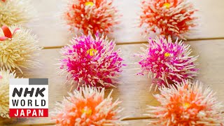 OFF TO YAMAGATA Carving Corsages  Dig More Japan [upl. by Anitnerolf]