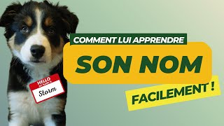 Comment apprendre à mon chien son nom  🐶❓🤷‍♀️ [upl. by Hephzipa203]