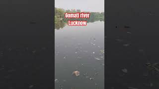 We should keep our rivers clean gomati gomtiriver [upl. by Richmal]