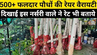 500 फलदार पौधों की रेयर वैरायटी  indias biggest online nursery  online nursery  nursery tour [upl. by Beard]