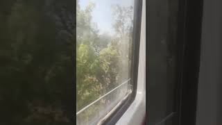 Ghaziabad City travel train rapid train viral trending youtube shorts [upl. by Arhsub75]