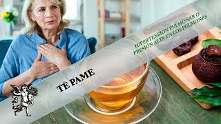 ¡TÉ PAME UN COMPUESTO HERBAL ESPECTACULAR PARA PADECIMIENTOS PULMONARES [upl. by Lucretia]