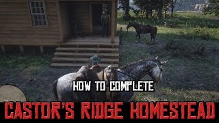 Red Dead Redemption 2 Completing Castors Ridge Homestead [upl. by Atiuqad]