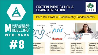 Week 8 Protein Purification and Characterization 13 Protein Biochemistry Fundamentals [upl. by Jabez]