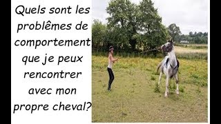 quels problemes puis je rencontrer avec mon propre cheval [upl. by Parks]