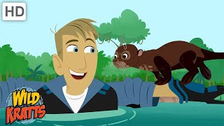 Swimming with Giant River Otters  One Big Happy Family  Wild Kratts [upl. by Doone]