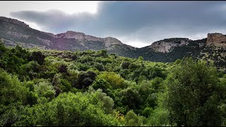 Randonnée Djbel Bargo  Siliana  Tunisie  برقو سليانة [upl. by Randie]