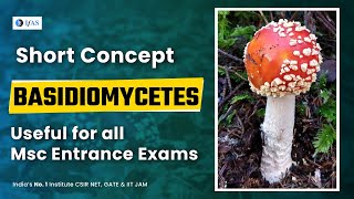 Basidiomycetes IIT JAM Biotechnology  Short Concept  Fungi Kingdom  MUST WATCH [upl. by Kuhn892]