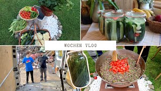 So viel Gemüse aus dem eigenen Garten 😍 Unser Schwager Kocht für uns  Gemüse Fermentieren  VLOG [upl. by Kerr]