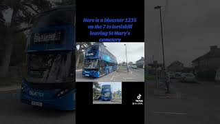 Bluestar buses [upl. by Halvaard]