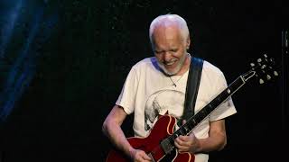 Peter Frampton Band – Georgia On My Mind Live [upl. by Nawoj]