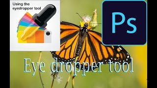 How to Use the Eyedropper and Color Sampler Tools in Photoshop CC Full Bangla Tutorial 2018 [upl. by Anibas]