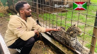 Falling in love with a Leopard in Burundi🇧🇮  Wild Adventures at Musée Vivant [upl. by Llertnek]