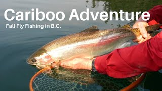 Fall Stillwater Fly Fishing in BCs Cariboo Region  Phil Rowley Fly Fishing [upl. by Aisatan]