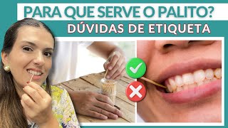 PARA QUE SERVE O PALITO  PERGUNTAS E RESPOSTAS 8 [upl. by Josephson799]