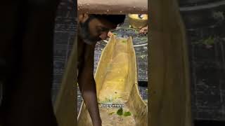 Sawan ka pahala somvar Baba baidyanath dham jyotirling darshan foryou shorts [upl. by Altis934]