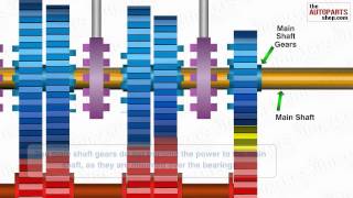 How Car Transmission System Works [upl. by Aniala]