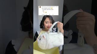 UNBOXING KUCING LAGI 🥳  Klara Tania shorts [upl. by Ettelimay]