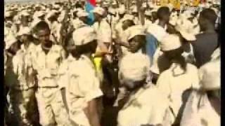 Eritrea  Eritrean song  Forsa from SAWA [upl. by Cosma612]