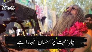 Bimaar e Muhabbat Pe Ehsaan Tumhaara Hai  New Arifana Kalam  Sufiyana  Sufi  Sufi Lines Sufism [upl. by Sheeran503]