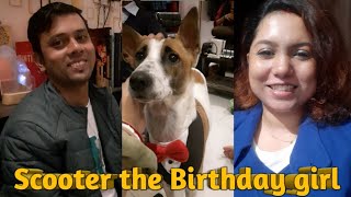 Scooters birthday ❣ Birthday Vlog  Agani celebration 🍾  Saheli Mukherjee [upl. by Kajdan508]