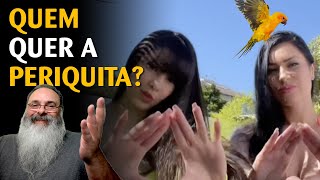 Musica sobre a periquita da Juliana Bonde deixa PTistas irritados [upl. by Inotna813]