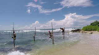 Stilt fishermen Koggala Sri Lanka [upl. by Moreno]