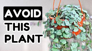 10 Popular Plants You Shouldnt Buy [upl. by Melvyn]