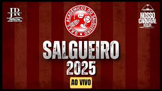 Acadêmicos do Salgueiro 2025 Ao Vivo [upl. by Cairns]