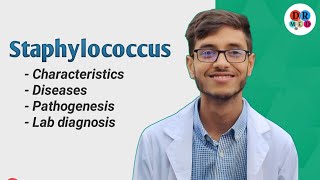 Staphylococcus aureus  Gram positive cocci  Bacteriology  Microbiology bangla lecture [upl. by Gerry]